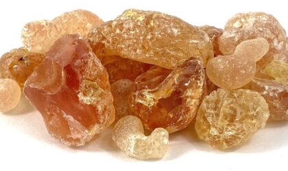 Routine beauté : intégrez la gomme arabique pour une peau éclatante