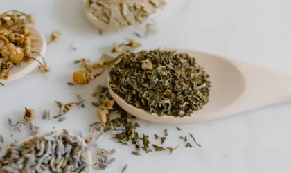 Les 6 Meilleurs Shampoings Antipelliculaires à Découvrir