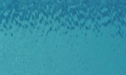 Acheter palette invendu Amazon : Comment dénicher des trésors à prix cassés