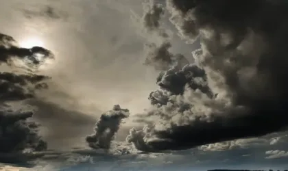 Approches Naturelles pour Chouchouter Votre Cœur