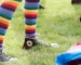 Chaussettes apparentes : tendance ou erreur ? Comment bien les choisir ? Chaussettes apparentes : tendance ou erreur ? Comment bien les choisir ?