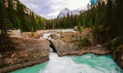 Torrent9 : pourquoi tant d’utilisateurs l’apprécient ?