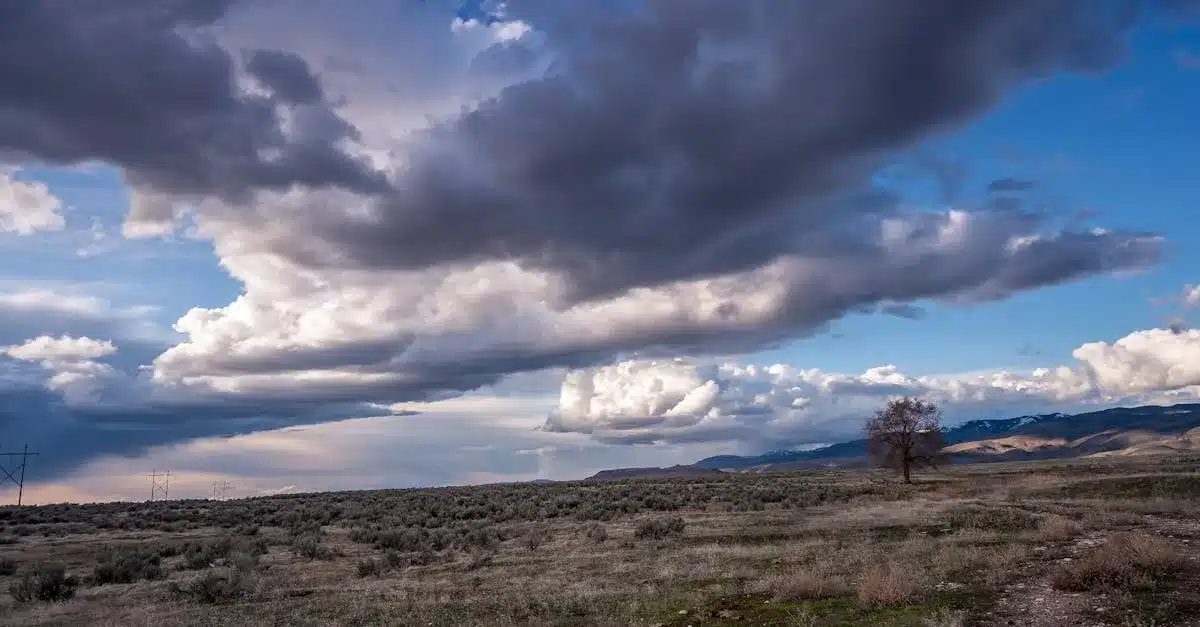découvrez notre collection de larges ceintures alliant style et confort. parfaites pour sublimer vos tenues, ces ceintures apportent une touche tendance à chaque look. explorez nos modèles variés dès maintenant !