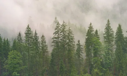 Comment choisir entre une brume hydratante et une eau thermale en fonction de sa peau ?