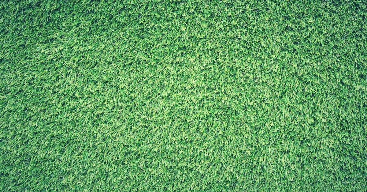découvrez l'univers captivant du turf, où les passionnés de courses de chevaux se rencontrent pour analyser, parier et vivre des moments inoubliables. restez informé des dernières actualités, conseils et pronostics pour optimiser vos gains sur les courses.