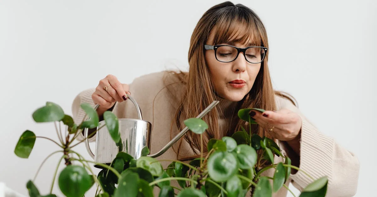 découvrez tout sur la plante pilea, également connue sous le nom de 'plante à monnaie', ses origines, son entretien et comment l'intégrer dans votre décoration intérieure.