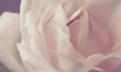 L’astuce infaillible pour fixer son blush crème toute la journée L’astuce infaillible pour fixer son blush crème toute la journée