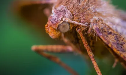 Tuto : liner inversé coloré pour paupières tombantes Tuto : liner inversé coloré pour paupières tombantes