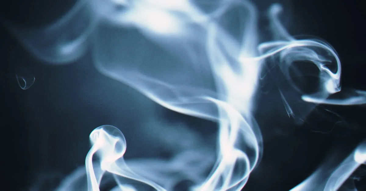 découvrez le concept d'invisible twist : une technique innovante qui allie discrétion et élégance pour des résultats époustouflants, que ce soit en coiffure, mode ou art. apprenez comment maîtriser ce style unique et transformer votre look en un clin d'œil !