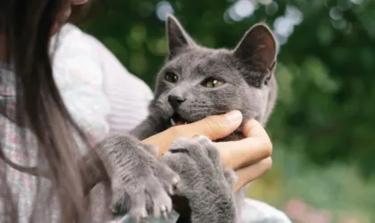 Comment arrêter de se ronger les ongles en 33 jours ? Comment arrêter de se ronger les ongles en 33 jours ?