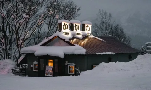 Sachamama Store : boutique tendance ou arnaque ?