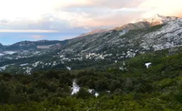 Sheridan’s liqueur interdite à la vente en France : pourquoi et que dit la loi ?