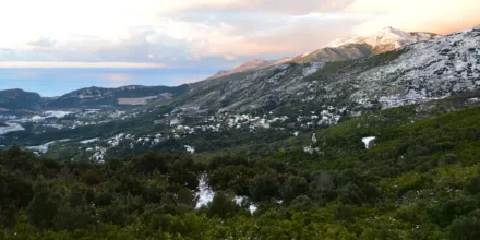 Sheridan’s liqueur interdite à la vente en France : pourquoi et que dit la loi ?