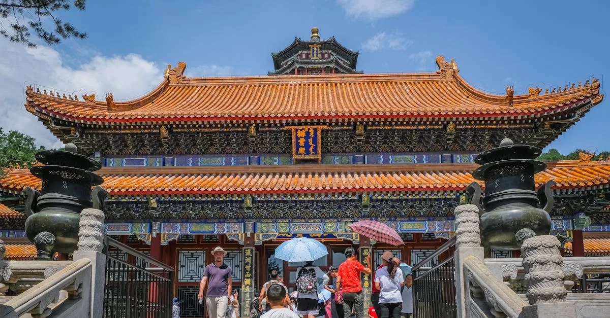 découvrez le buxus chinensis, un arbuste ornemental apprécié pour son feuillage dense et sa résistance, idéal pour vos haies et topiaires.