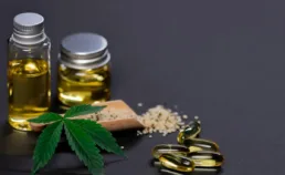 Pourquoi les graines autofloraison adaptées rencontrent autant de succès dans l’univers du CBD ?