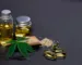 Pourquoi les graines autofloraison adaptées rencontrent autant de succès dans l’univers du CBD ? Pourquoi les graines autofloraison adaptées rencontrent autant de succès dans l’univers du CBD ?