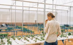 La ferme des grands champs : un exemple d’agriculture écologique innovante