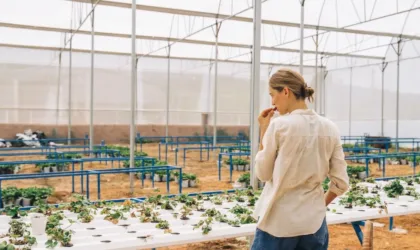 La ferme des grands champs : un exemple d’agriculture écologique innovante La ferme des grands champs : un exemple d’agriculture écologique innovante