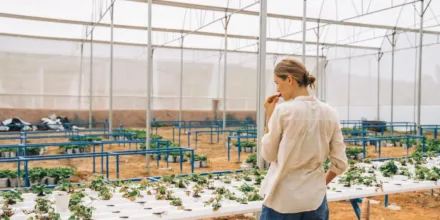 La ferme des grands champs : un exemple d’agriculture écologique innovante