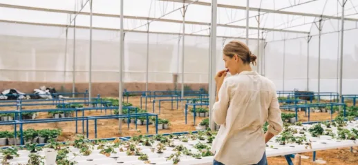 La ferme des grands champs : un exemple d’agriculture écologique innovante