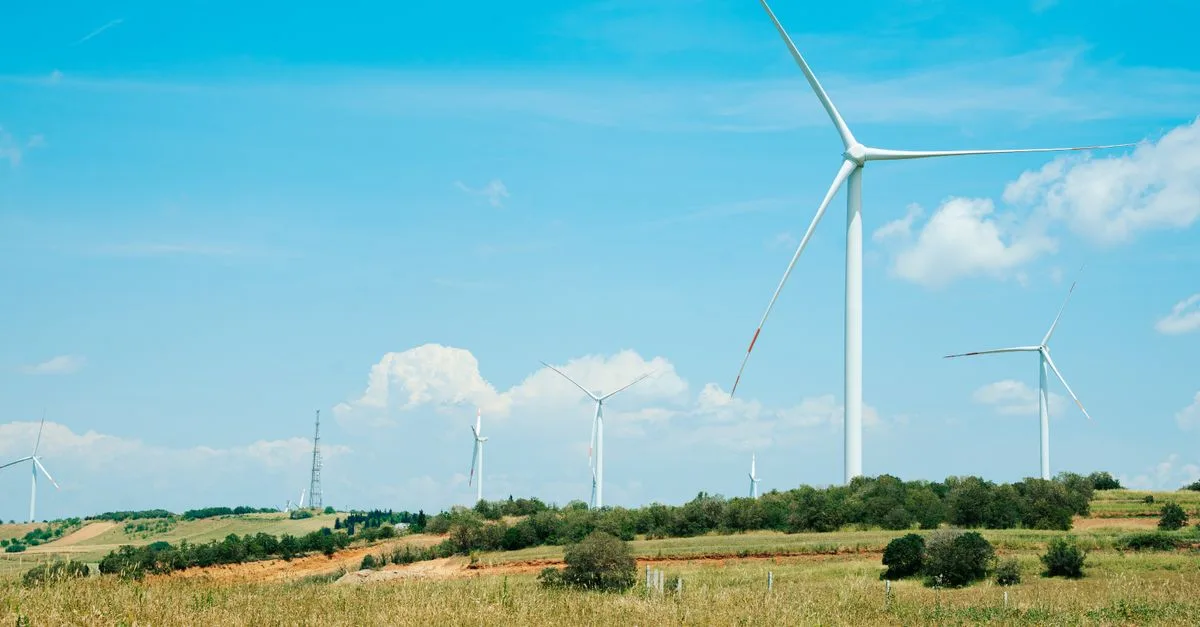 découvrez les réglementations environnementales essentielles pour protéger la nature, assurer la conformité légale et promouvoir un développement durable responsable.
