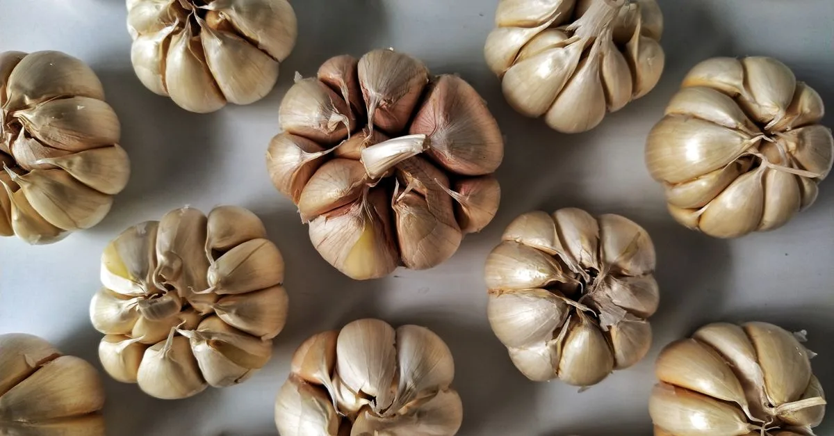 découvrez tous les bienfaits de l'ail, un ingrédient naturel aux multiples vertus pour la santé et la cuisine.
