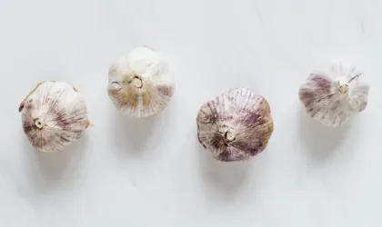 Les bienfaits de l’ail dans l’anus : pourquoi ce sujet fait-il autant parler ? Les bienfaits de l’ail dans l’anus : pourquoi ce sujet fait-il autant parler ?