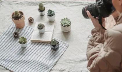 Quoidemeuf.net : quels contenus lifestyle attirent le plus les internautes ? Quoidemeuf.net : quels contenus lifestyle attirent le plus les internautes ?