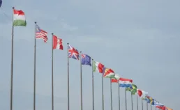 Astuces Essentielles Pour Une Coexistence Harmonieuse