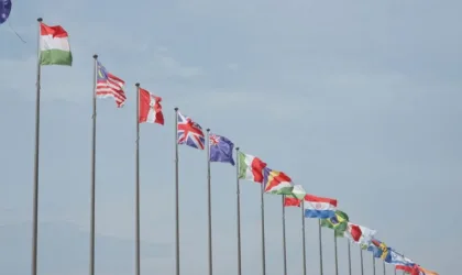Astuces Essentielles Pour Une Coexistence Harmonieuse